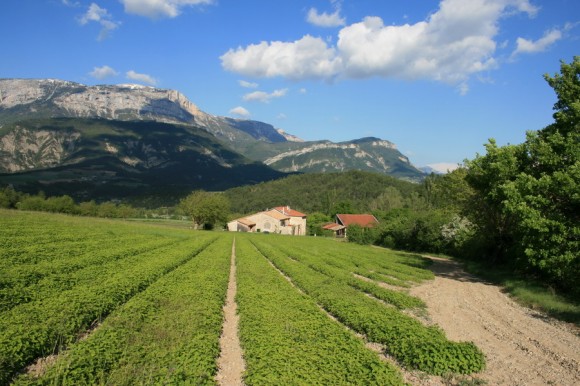 vue de la ferme d'ausson