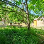 image6